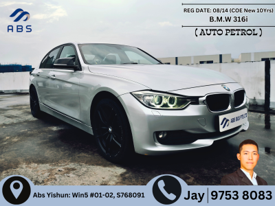 BMW 3 Series 316i