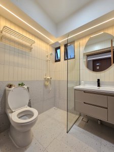 Toilet Renovations
