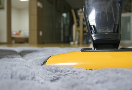 Professional cleaning services for your office / house / carpet!