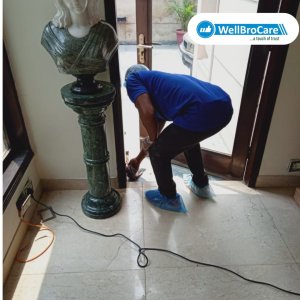 WellBro Care - Professional Cleaning Services